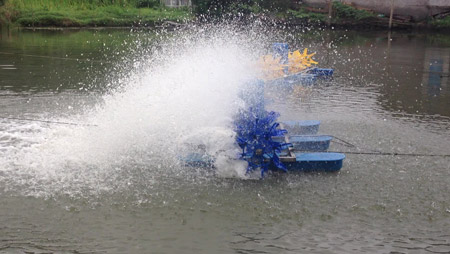 Qu'est-ce qui détermine la disposition des aérateurs d'étang à poissons